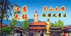 用力肏小骚货的逼视频江苏无锡灵山大佛旅游风景区