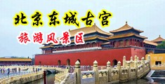大鸡吧插小穴流水视频中国北京-东城古宫旅游风景区